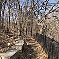 Winchell Trail in Minneapolis early spring 2020