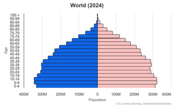 World Population Pyramid (2024)