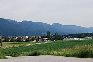 2012-05-26-Seeland (Foto Dietrich Michael Weidmann) 004
