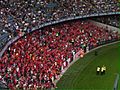 Adelaide United Fans (395036058)