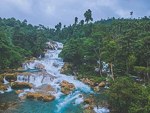 Aliwagwag Falls