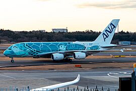 All Nippon Airways Airbus A380-800 JA382A