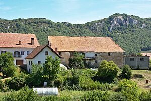 Aribe, Navarra