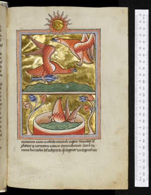 Ashmole Bestiary - folio 74r