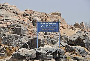 Aswan First Cataract R01