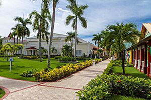 Bávaro, 23000, Dominican Republic - panoramio (398)