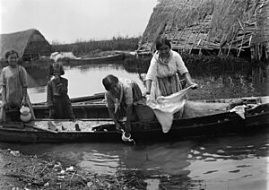 Baldomer Gili Roig. El Palmar (La Albufera de València), c. 1915 (2)