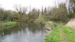 Bennett's Hole and River Wandle 4