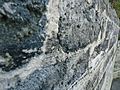 Bermuda (UK) Number 178 limestone used as building material for walls