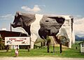 Big Bull March 1993