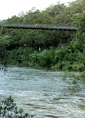 Bridge Jumping Maldon NSW