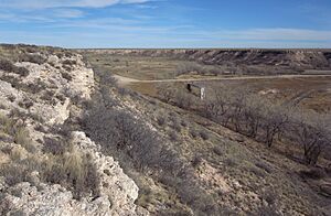 Buffalo Lake Texas Dam 2009