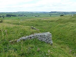 Cackle Mackle Mine remains