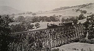 Train on trestle bridge of California and Nevada Railroad