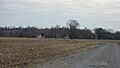 Carson-Annis Ferry Farm