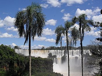 Cataratas Iguazu vista general
