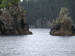 Chiswell Islands National Wildlife Refuge south of Seward