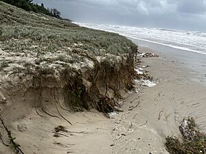Coastal erosion at Ocean Shores in the lead up to Cyclone Alfred 04