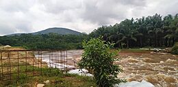 Congo river in full flow at Parc de la Vallée de la Nsele,Kinshasa, DRC