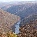Coopers Rock State Forest-square