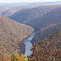 Thumbnail image of Cheat River at Coopers Rock State Forest