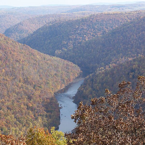 Coopers Rock State Forest-square