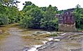 Davis Mill