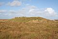 Exmoor, Wood Barrow - geograph.org.uk - 58659