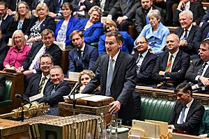 Financial Statement and Budget Report by the Chancellor of the Exchequer - ID 41778