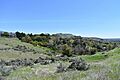 Foothills East Reserve
