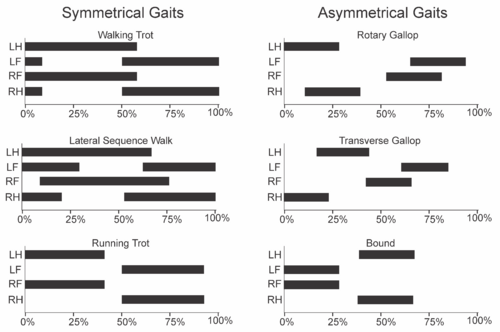 Gait graphs v2