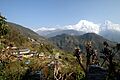 Ghandruk an Annapurna South