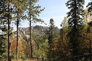 Hike to Black Elk Peak (51475010443)