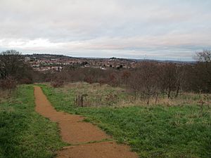 Horsenden Hill - panoramio