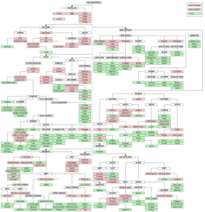 IndoEuropeanTree