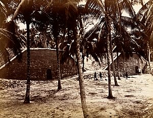 John Edmund Taylor, A Fort at Tanjong Katong, Singapore (1880, Wellcome V0037520)