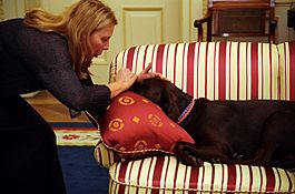 Joni Mitchell pets Buddy in the oval office