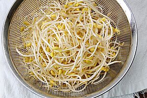 Kongnamul (soybean sprout) 2.jpg