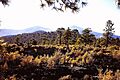 Lenox Crater Ar by Sunset Crater Humphreys Peak w PICT0071 19941028