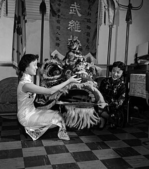 Lion Costume, 1953