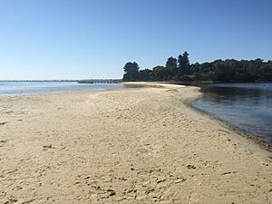 Looking back at Point Walter from Sandbar