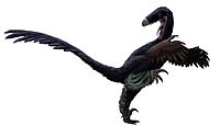 Luanchuanraptor.jpg