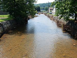 Mill Creek in Port Carbon, Schuylkill Co PA 02