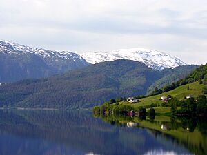 Mirror - panoramio (2).jpg
