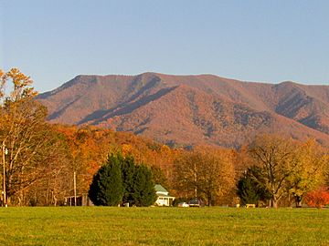 Mount-cammerer-from-cosby.jpg