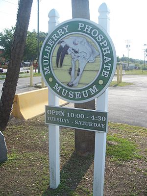 Mulberry FL Phosphate Museum sign01