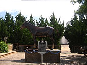 The National Mule Memorial at the Muleshoe Chamber of Commerce office