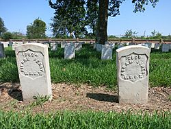 NOLA Chamette USCT graves.jpg