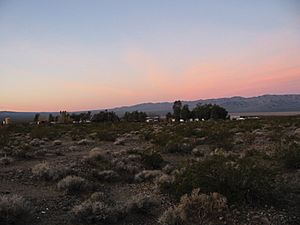 Nipton desert dawn