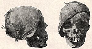 Osman Hamdi Bey. Crâne du roi Tabnit (№ 1). 2 sides. Paris, 1892